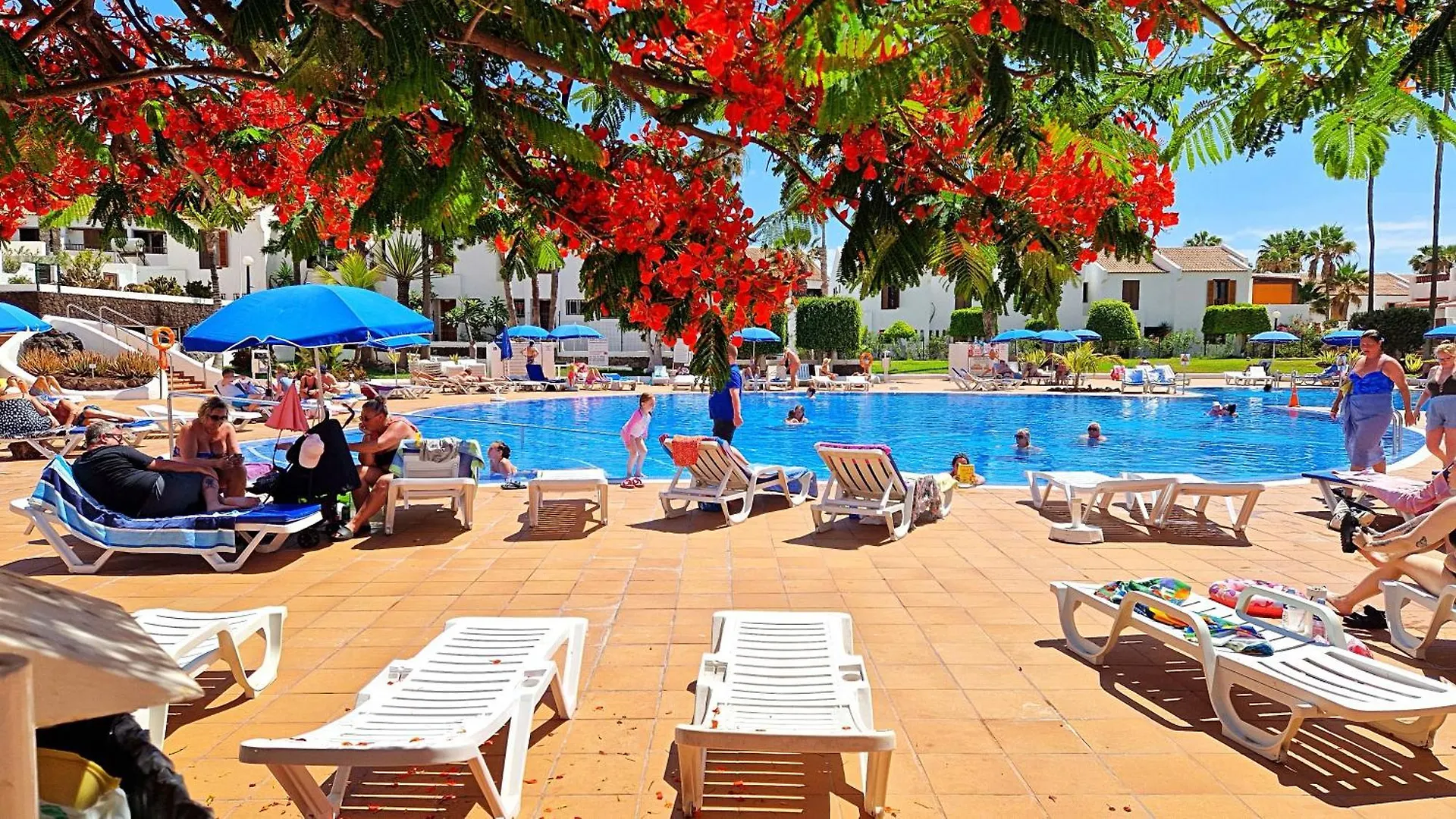 Parque Santiago II - Air Conditioning - Ocean View - 350Mt From The Beach Playa de las Americas  Apartmán